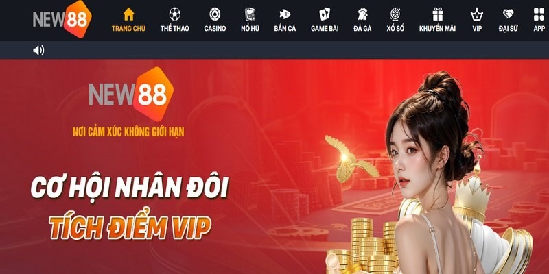 Tìm hiểu về nguồn gốc của New88